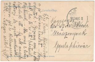 1913 Feredőgyógy, Fürdőgyógy, Algyógyfürdő, Geoagiu-Bai, Feredeu; Bornemisza sor. Szászvárosi Könyvn...