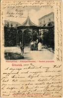 1902 Előpatak, Valcele; Principál kút. Julius Müller utóda kiadása / Principal-Brunnen / Fantina principala / spa, spring source, well (EK)