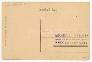 Dicsőszentmárton, Tarnaveni, Diciosanmartin; Erzsébet út, Dr. Erdős ház, Löb Izsák, Rózenberg Náttán...