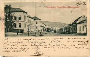 1901 Dicsőszentmárton, Tarnaveni, Diciosanmartin; utca. Jeremiás Áron kiadása / street view (EK)