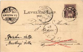 1901 Dicsőszentmárton, Tarnaveni, Diciosanmartin; utca. Jeremiás Áron kiadása / street view (EK)