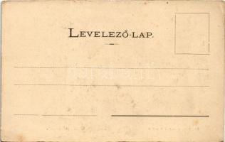 Gyulafehérvár, Alba Iulia; M. kir. állami iskola. Papp György kiadása / school (EK)