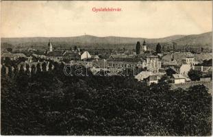 1909 Gyulafehérvár, Alba Iulia; látkép. Weiss Bernát kiadása / general view