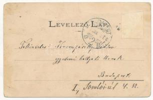 1907 Felsőbánya, Baia Sprie; Pályaudvar, vasútállomás, vonat. H. Riedl E. kiadása / railway station,...