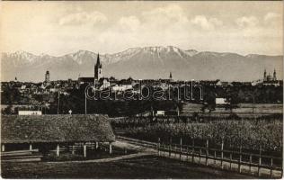 Nagyszeben, Hermannstadt, Sibiu; látkép / general view