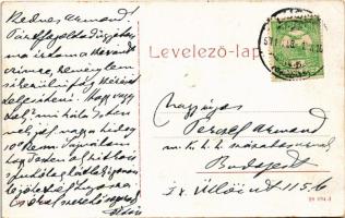 1911 Lugos, Lugoj; Megyeháza. W.L. 155. / county hall (EK)