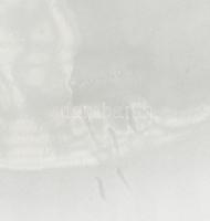 Herendi kék virágmintás ragutál, jelzett, kis kopással, 25 cm