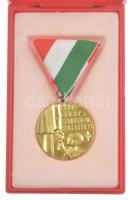 1987. Pedagógus Szolgálati Emlékérem aranyozott bronz kitüntetés mellszalagon, eredeti tokban (36mm) T:UNC NMK714