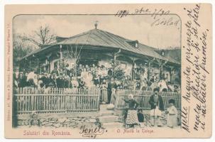 1904 Telega, O nunta, Salutari din Romania / Romanian wedding, folklore (EK)