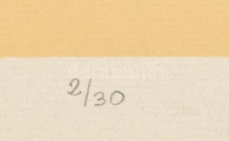 Rákosy Anikó (1948-): Huszárok. Linómetszet, papír, jelzett, 51x37 cm