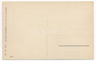 Temesvár, Timisoara; Erzsébetváros, Báziási vasútvonal / Elisabethstadt, Baziaser Strecke / Calea fe...