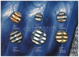 Hollandia 1991-2001. 5c-5G (6xklf) érvénytelenített forgalmi összeállítás karton "Búcsú a gulde...