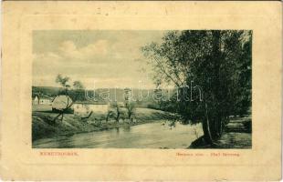 1917 Boksánbánya, Németbogsán, Deutsch-Bogsan, Bocsa Montana; Berzova vize. W.L. 1136. / Barzava river (fl)