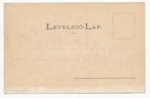 1902 Marosvásárhely, Targu Mures; Fő tér, Dudutz István és Ferencz, Fey József, Widder Antal, Wolste...