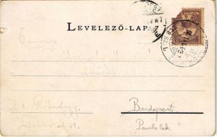 1901 Újtátrafüred, Neu-Schmecks, Novy Smokovec (Magas-Tátra, Vysoké Tatry); szanatórium. Cattarino k...