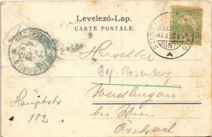 1903 Újtátrafüred, Neu-Schmecks, Novy Smokovec (Magas-Tátra, Vysoké Tatry); (EK)