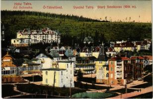 Tátrafüred, Ótátrafüred, Altschmecks, Stary Smokovec (Magas Tátra, Vysoké Tatry); látkép. Julius Kuszmann kiadása / general view, spa, villa