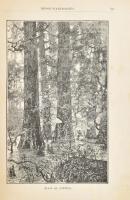 Az új világ. Kalandozások Amerika művelt és vad vidékein. Utirajzok és életképek kiváló utazók leírá...