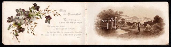 cca 1890-1900 Vergissmeinnicht - Blüthen u. Blätter der Freundschaft. Dekoratív, litografált, német ...