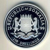 Szomália 1999. 250Sh Ag "Titanic" T:PP