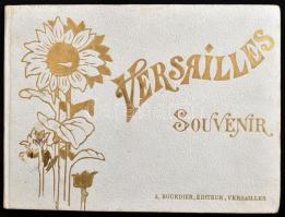 cca 1900 Versailles (Párizs), album 24 db fekete-fehér képpel (kastély belső termei, Kis-Trianon kastély, stb.), dekoratív, aranyozott borítóval, az előzéklapon szárított, préselt növényekkel (havasi gyopár), 24x18cm