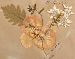 cca 1900 Versailles (Párizs), album 24 db fekete-fehér képpel (kastély belső termei, Kis-Trianon kas...