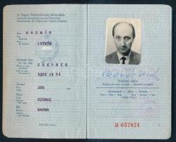 1965 Magyar Népköztársaság által kiállított útlevél osztrák, holland, német stb. vízumokkal
