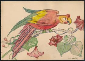 Monori Kovács Jenő (1884-?): Papagáj, 1910-20 körül. Ceruza, akvarell, papír, jelzett, 14,5x20,5 cm