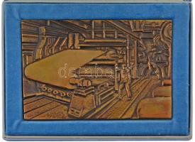 1979. PV (Papíripari Vállalat) kétoldalas öntött bronz plakett, eredeti dísztokban (77x110mm) T:2