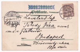 1901 Talofa Samoa. Ausstellung Samoa Unsere neuen Landsleute. Giesecke & Devrient / German colon...