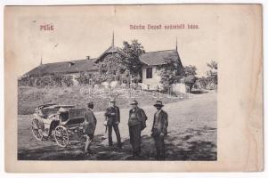 1911 Pele, Becheni; Sántha Dezső szüretelő háza, szőlő / grape harvesting house, villa (b)