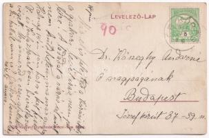 1911 Pele, Becheni; Sántha Dezső szüretelő háza, szőlő / grape harvesting house, villa (b)