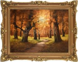 Beregi J jelzéssel: Őszi erdő. Olaj, vászon. Dekoratív fakeretben. 60x80 cm