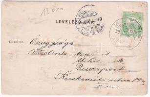 Magyarád, Magyarát, Maderat; Nagy Úrihegy, szőlő. Stein Zsigmond kiadása / mountain vineyards (kopot...