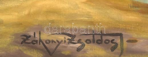 Záhonyi Zsoldos jelzéssel: Libapásztorlány. Olaj, vászon. Dekoratív fakeretben. 60x80 cm