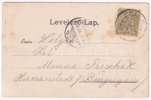 1903 Felek, Freck, Avrig; Kastély, park, fürdő. Verlag Karl Graef / Badehaus, Schloss und Park / cas...