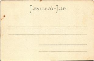 Karánsebes, Caransebes; Vízesés vashíddal. H. Rosenfeld kiadása / Eisenbahnbrücke mit dem Wasserfall...