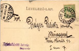 1902 Segesvár, Schässburg, Sighisoara; Megyeháza. Fritz Teutsch kiadása / county hall (fl)