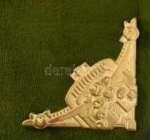 Régi fotóalbum, aranyozott veretekkel, korához képest megkímélt állapotban, 26x21x6 cm, fotótartó mé...