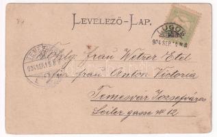 1904 Lugos, Lugoj; Vármegyeház. Auspitz Adolf kiadása. Szecessziós magyar zászlós keret / county hal...