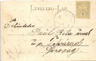 1903 Lippa, Lipova; látkép, Krastl vendéglő. Konstantin Sándor kiadása / general view, restaurant, i...