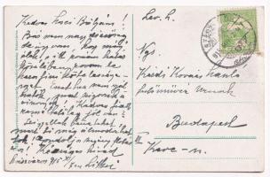 1915 Szászváros, Broos, Orastie; Vármalom, vízimalom / Mühle / watermill (lyuk / hole)