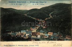 1904 Stájerlak, Steierlak, Stájerlakanina, Steierdorf, Anina; II. és III. telep, látkép. Hollschütz F. kiadása / II. u. III. Colonie / general view (EB)