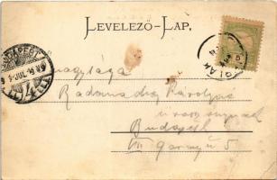 1904 Stájerlak, Steierlak, Stájerlakanina, Steierdorf, Anina; II. és III. telep, látkép. Hollschütz ...