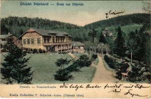 1905 Stájerlak, Steierlak, Stájerlakanina, Steierdorf, Anina; Nyaraló. Hollschütz F. kiadása / Sommerfrische / villa, spa (EK)