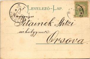 1905 Stájerlak, Steierlak, Stájerlakanina, Steierdorf, Anina; Nyaraló. Hollschütz F. kiadása / Somme...