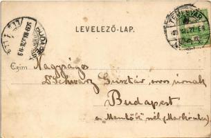 1909 Temesvár, Timisoara; Szent György tér, villamos, Varneky A. üzlete. Polatsek kiadása / square, ...