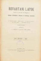 1907 Rovartani lapok, szerk.: Csiki Ernő, XIV kötet, , korabeli vaknyomásos egészvászon kötésben, festett lapélekkel, jó állapotban