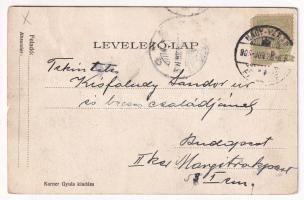 1905 Nagyvárad, Oradea; Pannonia szálloda étterme, belső pincérekkel. Karner Gyula kiadása / hotel, ...