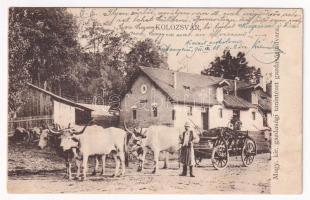 1911 Kolozsvár, Cluj; M. kir. gazdasági tanintézet gazdasági udvara, ökrös szekér / farmer school, ox cart (fl)